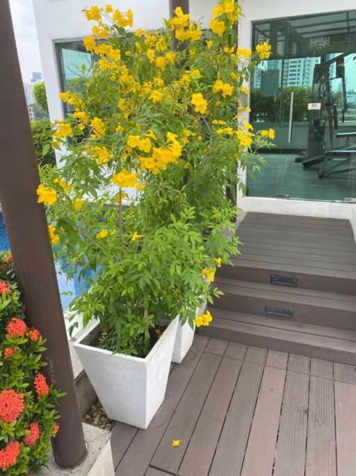 Delightful Condo In Central Location At Sukhumvit 49 Μπανγκόκ Εξωτερικό φωτογραφία